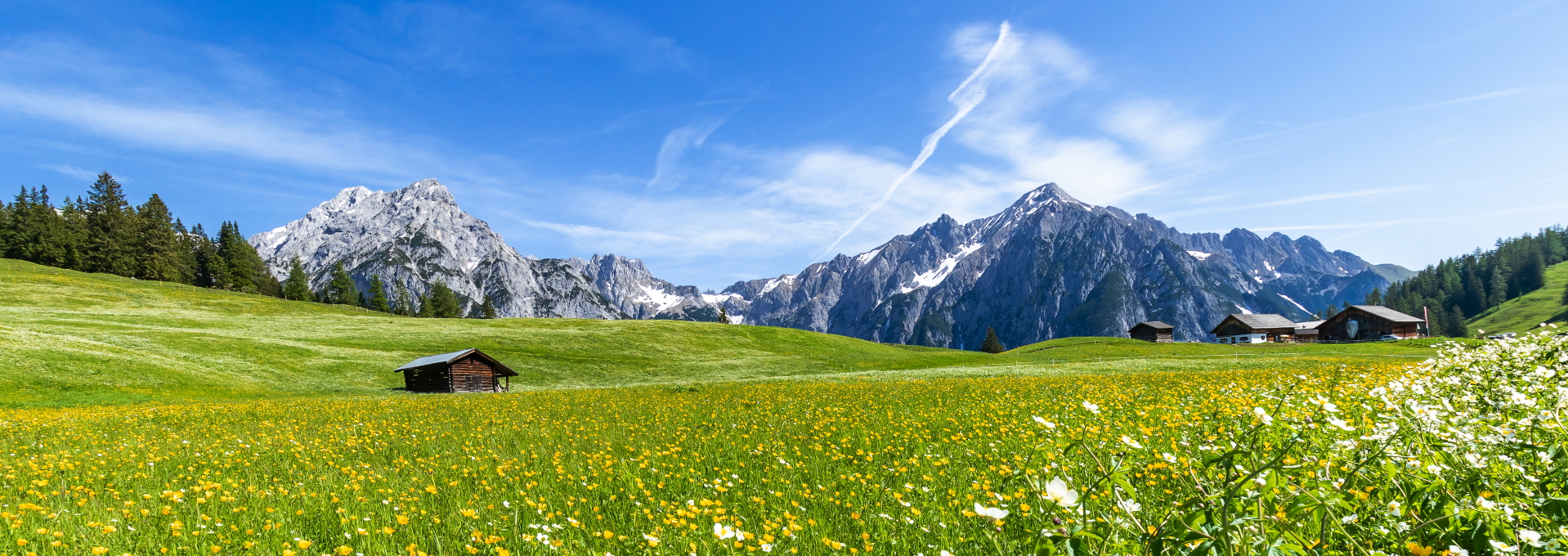 Green fields in the Inn valley on the Adlerweg