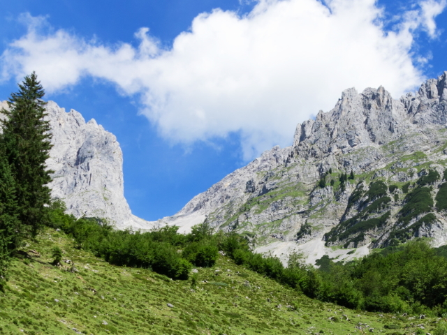 Wochenbrunneralm on the Adlerweg