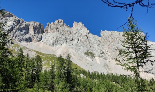 The forested approach to the Forca Rossa on the Alta Via 2