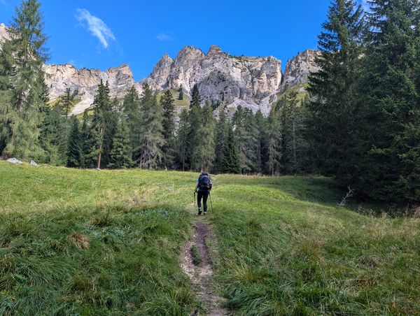 Hiking through grassy meadows towards the Monte Cristallo group on the a self-guided walking holiday of the Alta Via 9