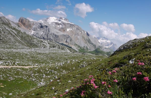 Flower meadows on the approach to Rifugio Sennes