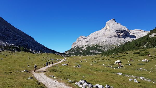 Walkers on the Alta Via 1 between Rifugio Fanes and Rifugio Lagazuoi