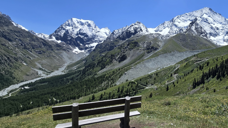 Mont Collon above Arolla, the Pigne de Arolla, and a bench