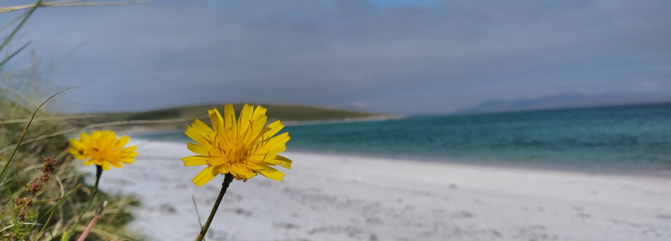 Berneray Beach on the Hebrdiean Way