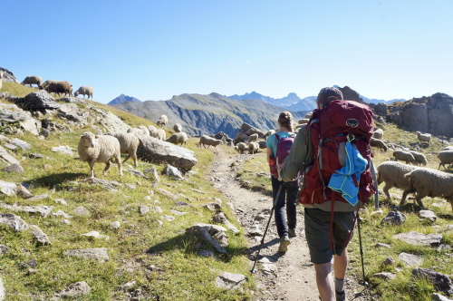 hikers on the Tour du Mont Blanc