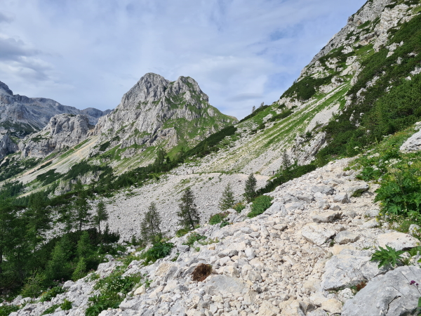 Walking from Bohinj to Vodnikov Dom