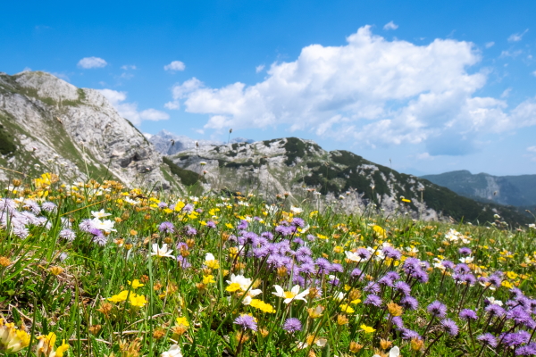 Walking from Triglav Lakes Hut to Dom na Komni