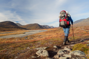 Hiker on the Kungsleden