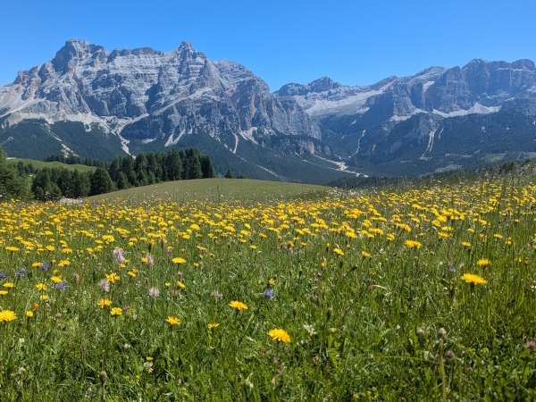 Views from the Pramlongia plateau on the Alta Via 9