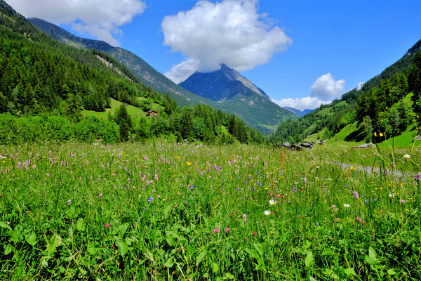 La Fouly to Champex on the TMB