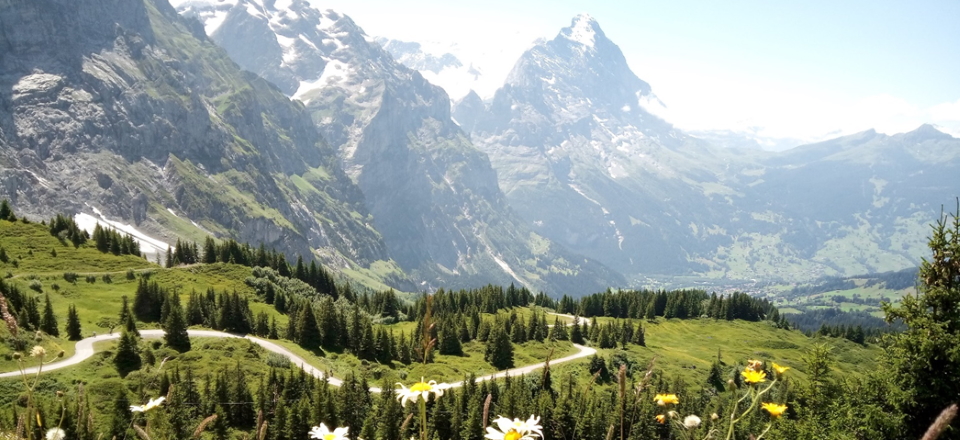 Lou on the Via Alpina at Grosse Scheidegg (2021)