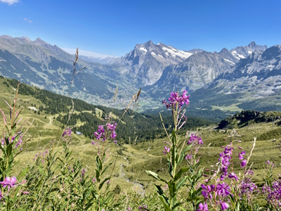 Grindelwald to Wengen on the Via Alpina