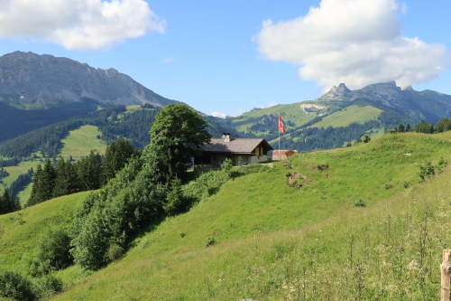 Col des Mosses to Montreux on the Via Alpina
