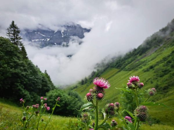 Elm to Linthal on the Via Alpina