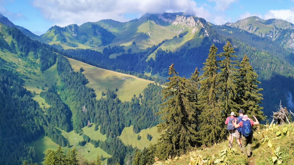 Deep in the Swiss countryside, Via Alpina (2024)