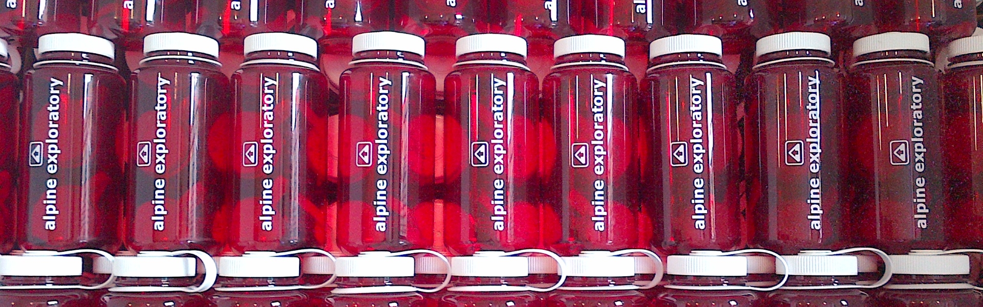 The Alpine Exploratory water bottle