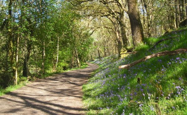 Milngave to Drymen on the West Highland Way