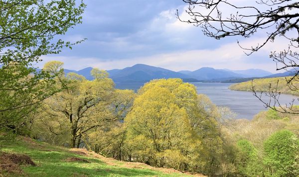 Rowardennan to Inverarnan on the West Highland Way